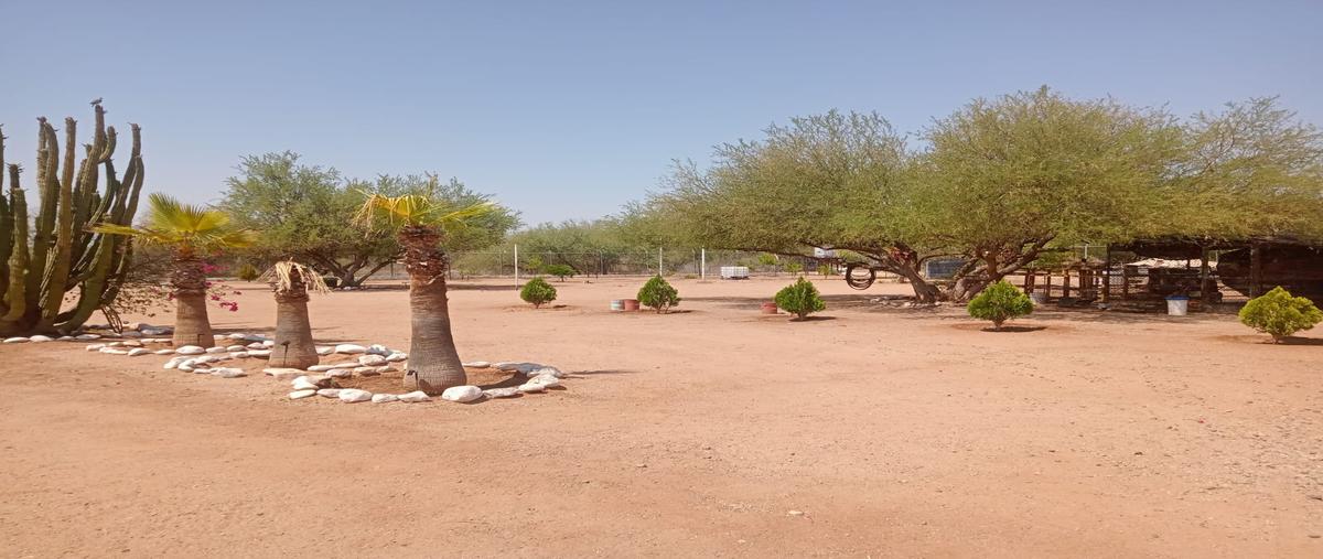 Foto de casa en venta en hacienda el alamito , real del alamito [fraccionamiento campestre], hermosillo, sonora, 29324993 No. 05